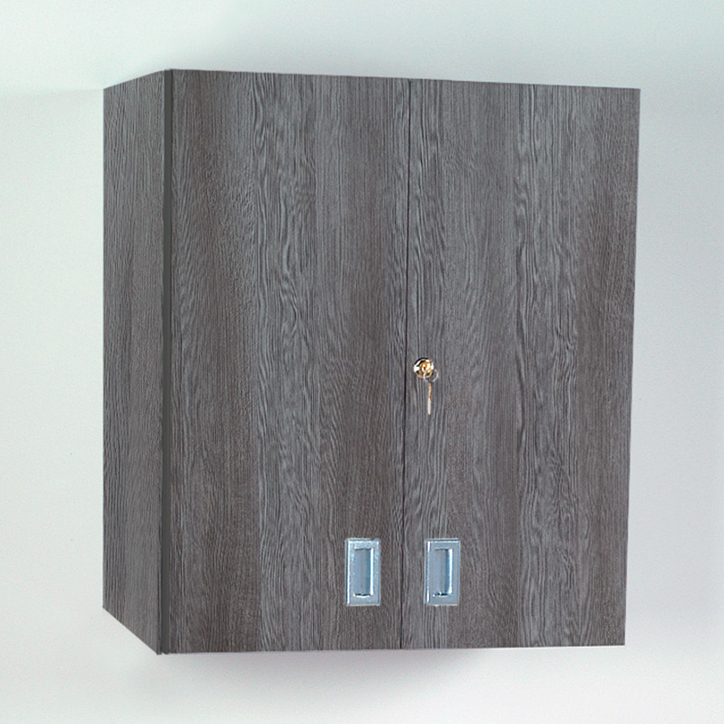Item 5095 Wall Cabinet With Locking, Locking Wall Cabinet Wood